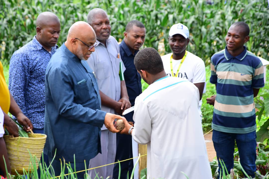 footer-instagram-img-3