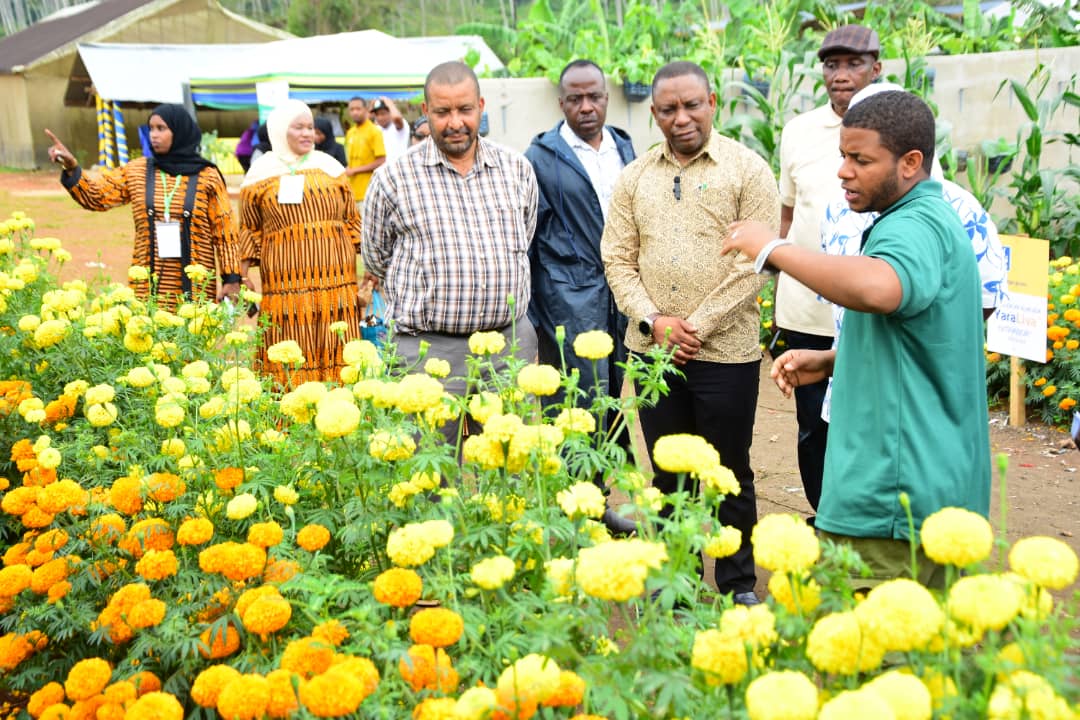 upcoming-events-img-1