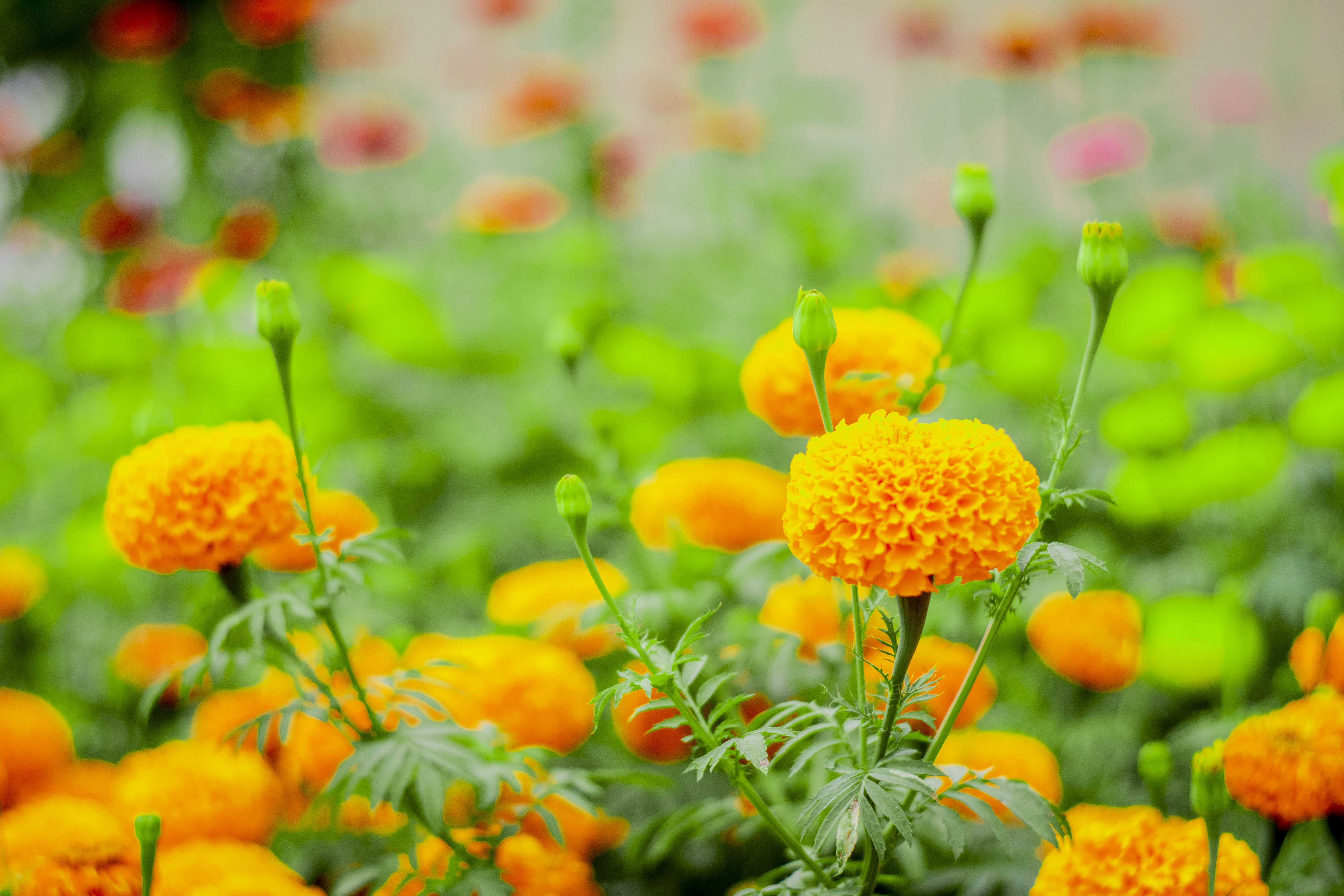 footer-instagram-img-6